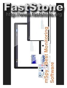 Is mspy.com Fake